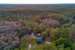 38134 SW Forest Road 123, Bristol, FL 32321 - Photo 34