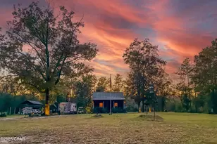 38134 SW Forest Road 123, Bristol, FL 32321 - Photo 6