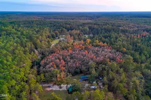 38134 SW Forest Road 123, Bristol, FL 32321 - Photo 36