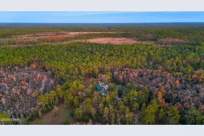 38134 SW Forest Road 123, Bristol, FL 32321 - Photo 38