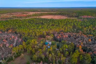 38134 SW Forest Road 123, Bristol, FL 32321 - Photo 38