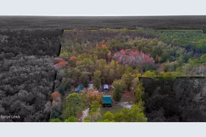 38134 SW Forest Road 123, Bristol, FL 32321 - Photo 2