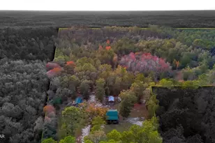 38134 SW Forest Road 123, Bristol, FL 32321 - Photo 2