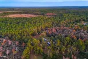 38134 SW Forest Road 123, Bristol, FL 32321 - Photo 36