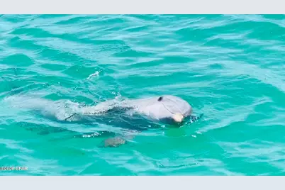 8390 Jollymon Way, Panama City Beach, FL 32413 - Photo 58