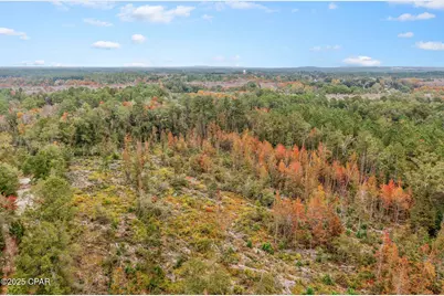 000 Mud Hill Road, Chipley, FL 32428 - Photo 10