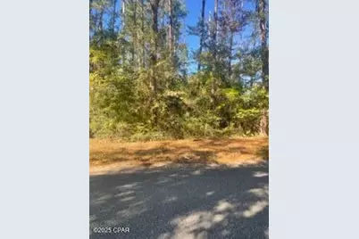 000 Mud Hill Road, Chipley, FL 32428 - Photo 2