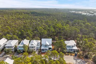 325 Matt's Way, Santa Rosa Beach, FL 32459 - Photo 50