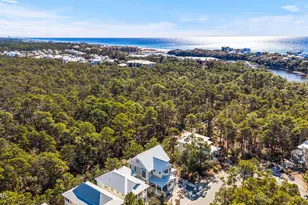 325 Matt's Way, Santa Rosa Beach, FL 32459 - Photo 56