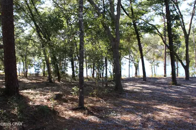 Lot 21 Paradise Lakes Road, Chipley, FL 32428 - Photo 40