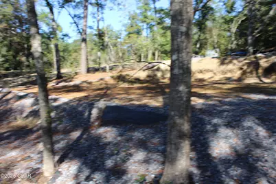 Lot 21 Paradise Lakes Road, Chipley, FL 32428 - Photo 30