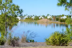 138 Pond Cypress Cv, Port Saint Joe, FL 32456 - Photo 62