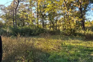 2785 Otter Pond Rd, Westville, FL 32464 - Photo 2