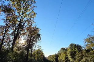 2785 Otter Pond Rd, Westville, FL 32464 - Photo 12