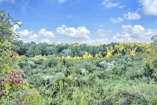 17680 Front Beach Rd, Panama City Beach, FL 32413 - Photo 34