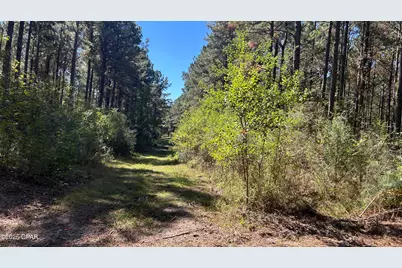 Xxx Co 147 Highway, Laurel Hill, FL 32567 - Photo 26