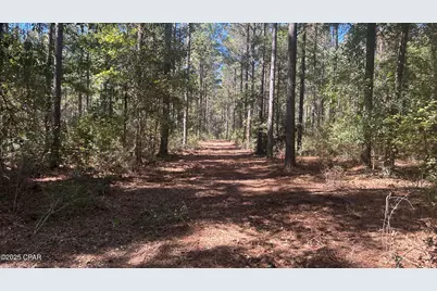 Xxx Co 147 Highway, Laurel Hill, FL 32567 - Photo 10