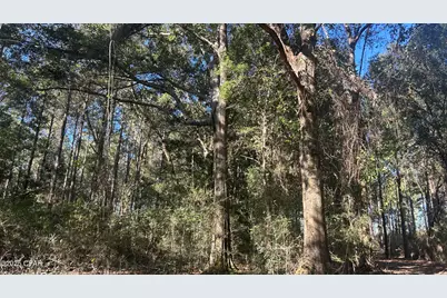 Xxx Co 147 Highway, Laurel Hill, FL 32567 - Photo 20