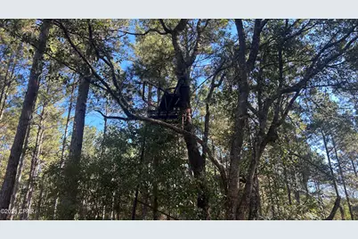 Xxx Co 147 Highway, Laurel Hill, FL 32567 - Photo 32