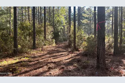 Xxx Co 147 Highway, Laurel Hill, FL 32567 - Photo 6