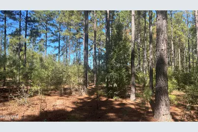 Xxx Co 147 Highway, Laurel Hill, FL 32567 - Photo 34