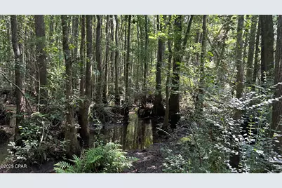 Xxx Co 147 Highway, Laurel Hill, FL 32567 - Photo 16