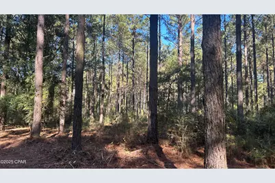 Xxx Co 147 Highway, Laurel Hill, FL 32567 - Photo 8