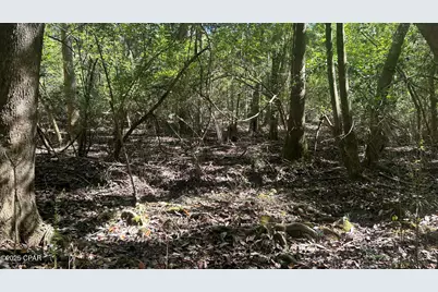 Xxx Co 147 Highway, Laurel Hill, FL 32567 - Photo 14