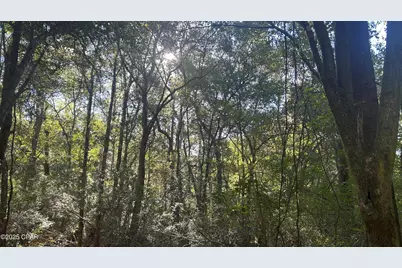 Xxx Co 147 Highway, Laurel Hill, FL 32567 - Photo 18