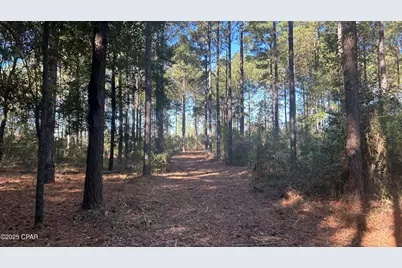 Xxx Co 147 Highway, Laurel Hill, FL 32567 - Photo 36