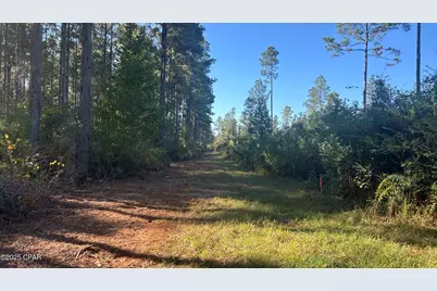 Xxx Co 147 Highway, Laurel Hill, FL 32567 - Photo 4