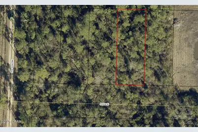 11717 Krocus Street, Fountain, FL 32438 - Photo 2