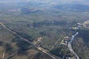 14235 NW Henry Grantham Rd, Altha, FL 32421 - Photo 56