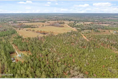 000 Perry Road, Cottondale, FL 32431 - Photo 4