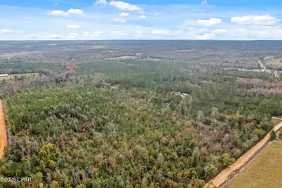 000 Perry Road, Cottondale, FL 32431 - Photo 10