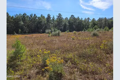 00 Delaware Drive, Defuniak Springs, FL 32433 - Photo 1