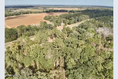 2729 Highway 2, Campbellton, FL 32426 - Photo 36