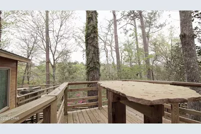 3640 Lucianne Drive, Vernon, FL 32462 - Photo 36