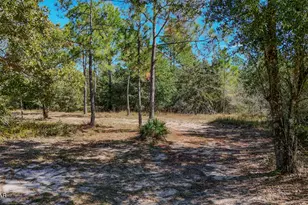 300 Deer Trail, Defuniak Springs, FL 32433 - Photo 34