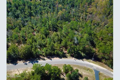 0000 Highland Circle, Alford, FL 32420 - Photo 8