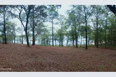 3515 Quail Ridge Drive, Chipley, FL 32428 - Photo 4