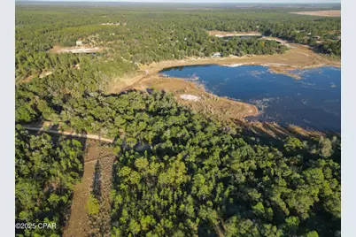 4660 Grassy Pond Road, Chipley, FL 32428 - Photo 8