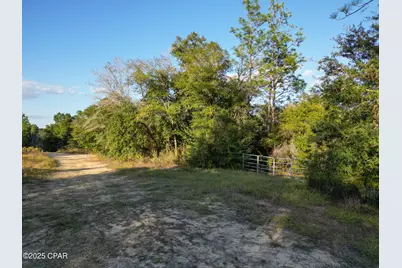 4660 Grassy Pond Road, Chipley, FL 32428 - Photo 16