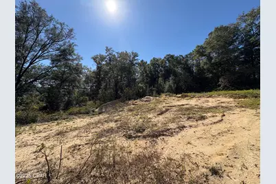 4660 Grassy Pond Road, Chipley, FL 32428 - Photo 24