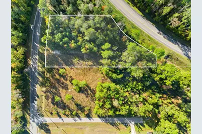 135 Canning Drive, Wewahitchka, FL 32465 - Photo 1