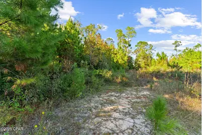 115 Pear Street, Wewahitchka, FL 32465 - Photo 22