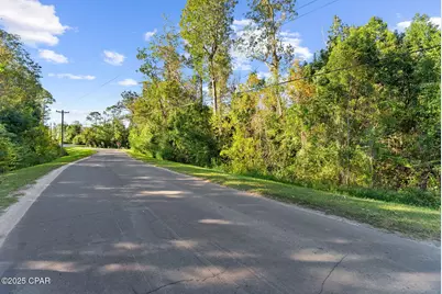 Tbd Pear Street, Wewahitchka, FL 32465 - Photo 10
