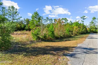 Tbd Pear Street, Wewahitchka, FL 32465 - Photo 20