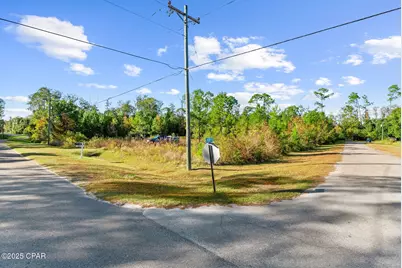 Tbd Pear Street, Wewahitchka, FL 32465 - Photo 12
