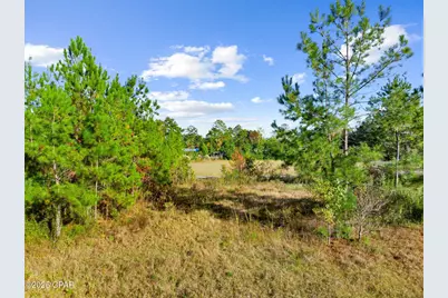 Tbd Pear Street, Wewahitchka, FL 32465 - Photo 14